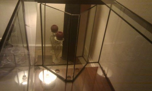 IMAG0345.jpg