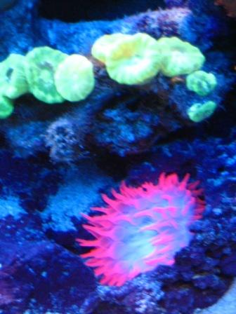IMG_0695.JPG
