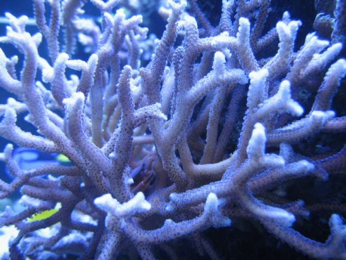 IMG_6208.JPG