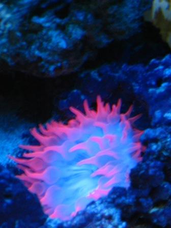 IMG_0691.JPG