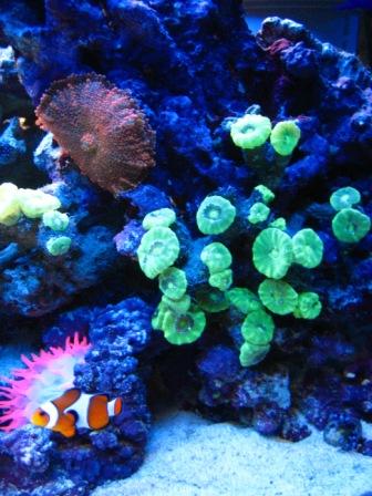 IMG_0699.JPG