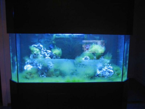 img5053h.jpg
