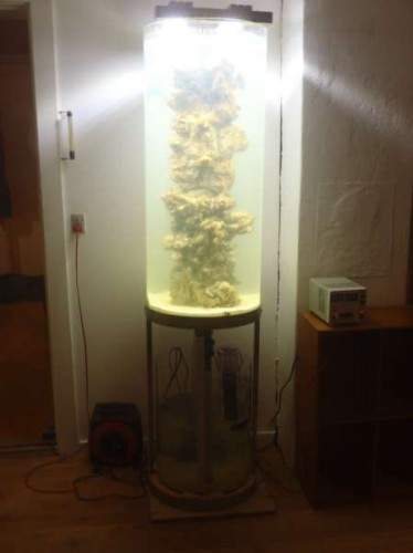 Nu med sump