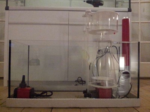 2011-10-17 19.04.47.jpg