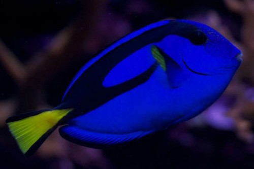 DSC_1783.jpg