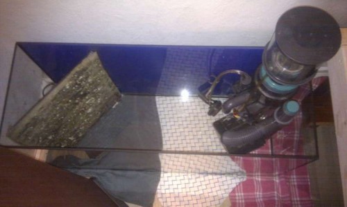 IMAG0360.jpg