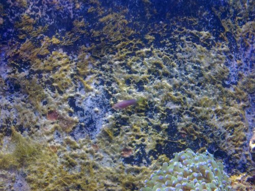 Hele bagvæggen ser sådan ud nu