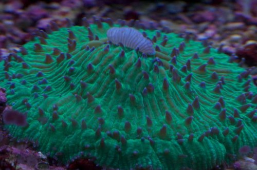 DSC_1850.jpg