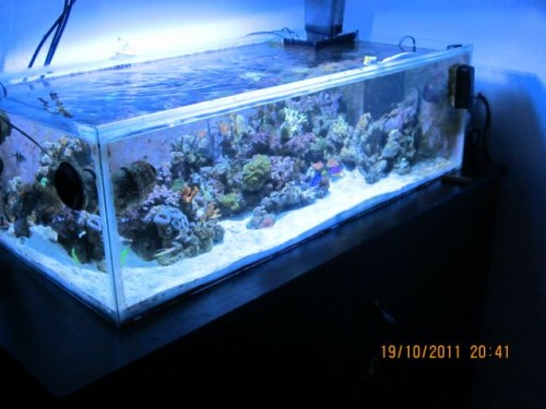 114 [DVD (NTSC)].JPG