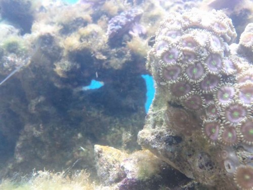 IMG_20111021_210850.jpg