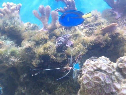 IMG_20111021_210956.jpg