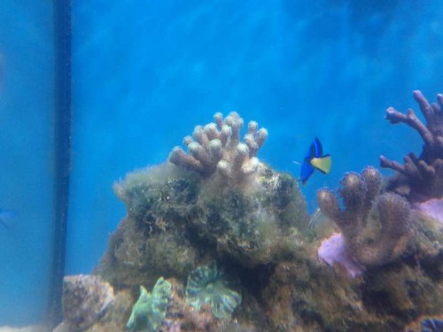 IMG_20111021_211532.jpg