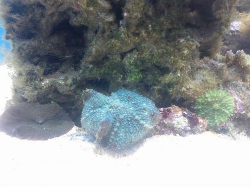IMG_20111021_211942.jpg