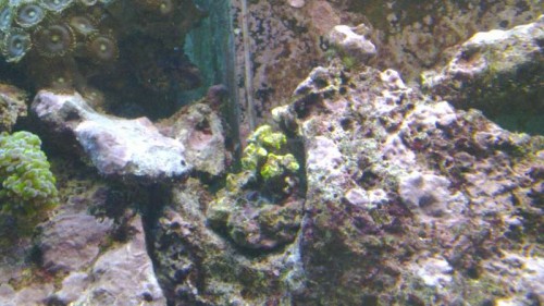 20111022_002.jpg