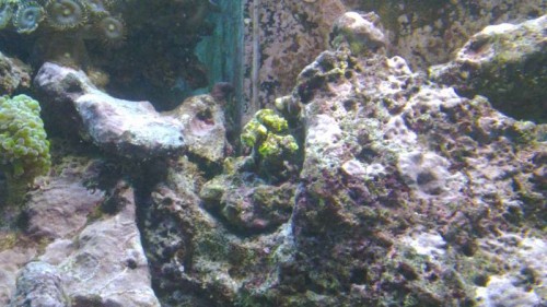 20111022_003.jpg
