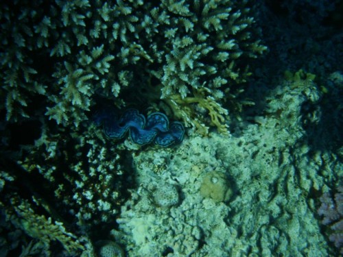 PA250025.jpg