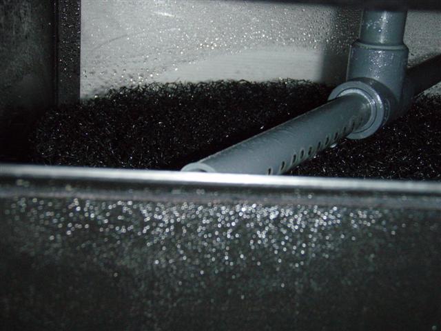 PC273466 (Small).JPG