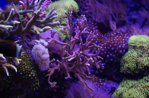 _IGP3064.JPG