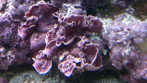 10112011162_1.jpg