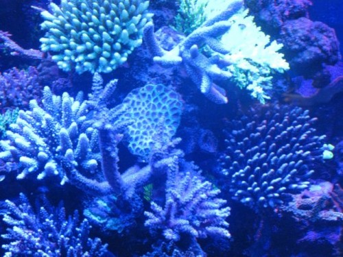 IMG_2911.jpg