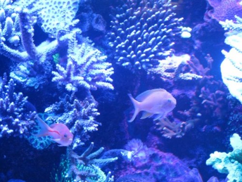 IMG_2912.jpg