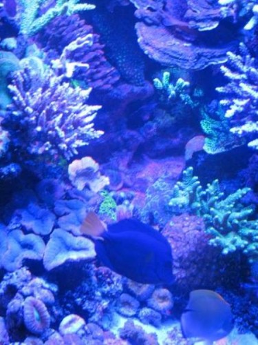 IMG_2921.jpg