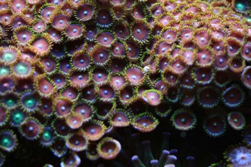 IMG_7112.JPG