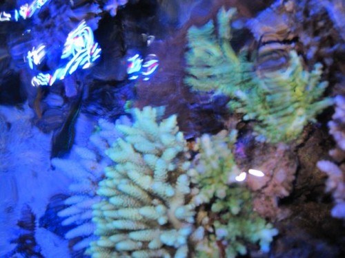 IMG_2948.jpg