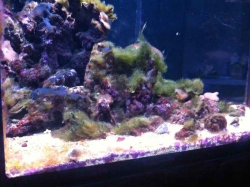 Så skidt står det til!!! :-(