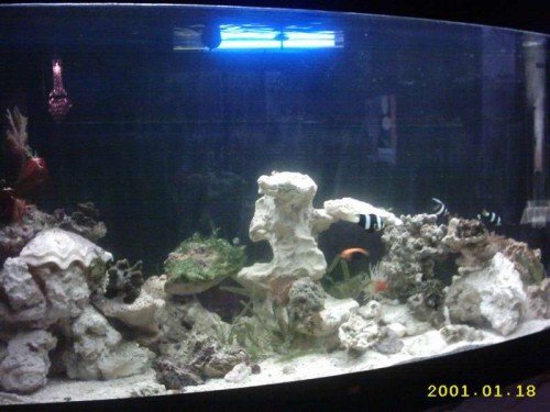 IMG_0034.JPG