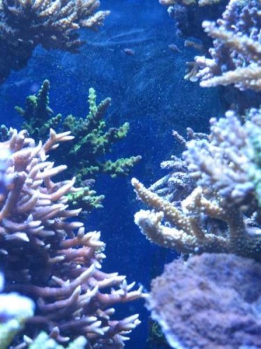 IMG_3038.jpg