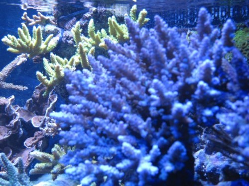 IMG_3045.jpg