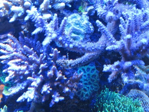 IMG_3046.jpg