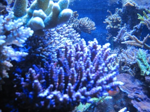 IMG_3054.jpg