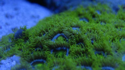 IMG_6369.JPG