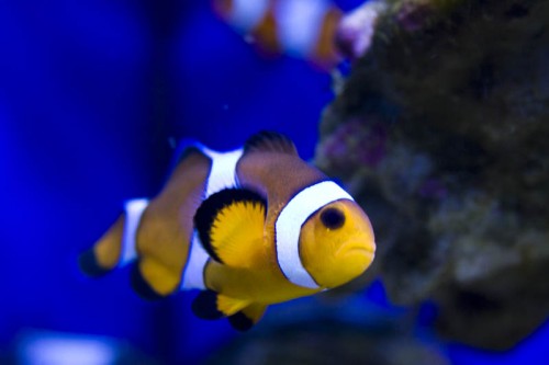 IMG_6065.JPG
