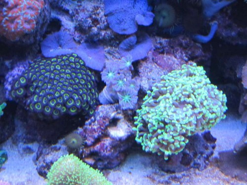 IMG_3737.JPG