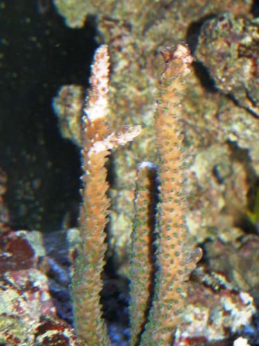 test2.jpg