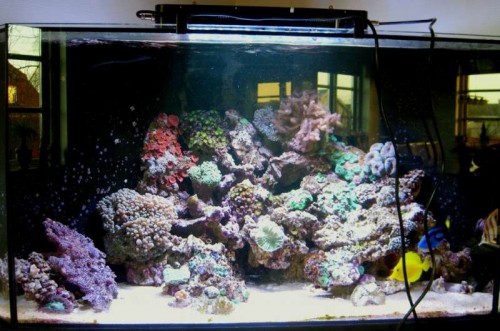 aquaribar50watt001.jpg