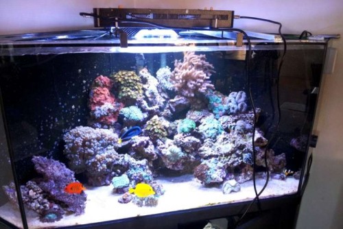 2011-11-28 10.21.00.jpg