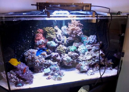 2011-11-28 10.21.07.jpg
