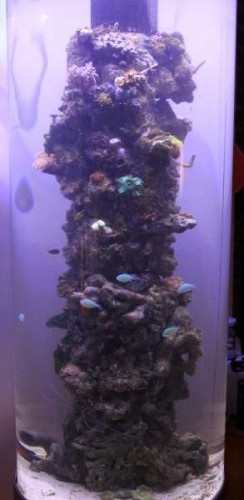 FTS