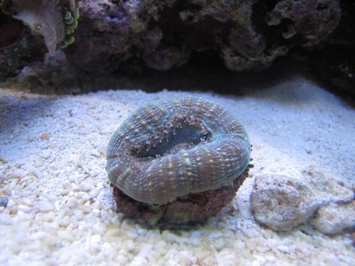 december 2011 028.JPG