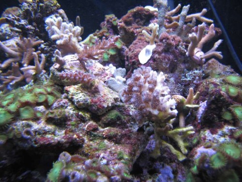 december 2011 030.JPG