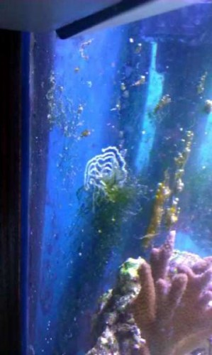 IMAG0149.jpg