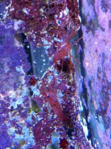 foto2.JPG
