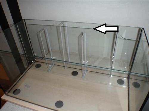 PC080008 (Small).JPG