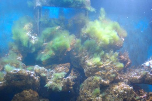 DSC_4387.JPG