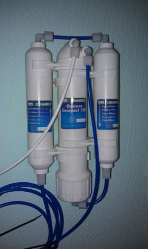 IMAG0118.jpg