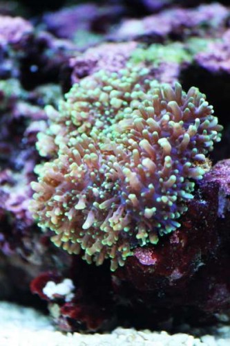 IMG_9494.JPG